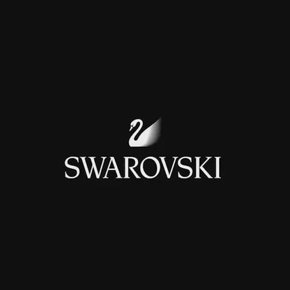 Swan Siyah Taşlı Kolye